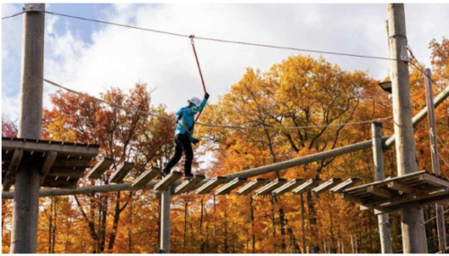  A person waling across a bridge in the fall