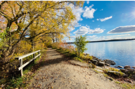 A path beside a body of water