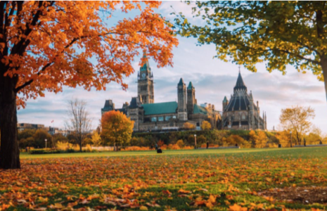 A building in a fall landscape 