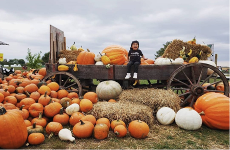 A little boy sitting on a wagon surrounded by pumpkins 