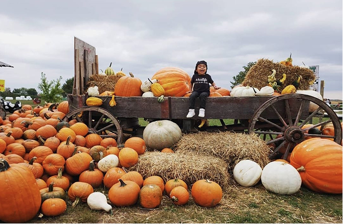6 FARMS FOR FALL FESTIVALS & HALLOWEEN EVENTS