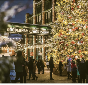 People standing around a large outdoor Christmas tree