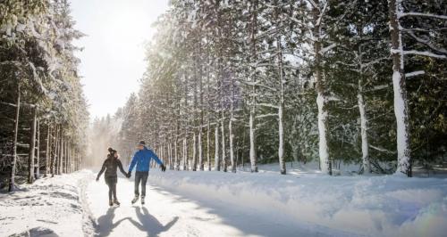 Two people skaing through a forest holidng hands