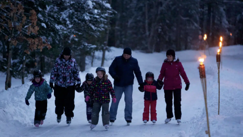 A family skating through a forest holding hands