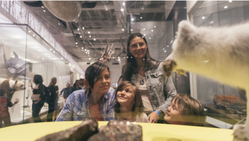 A family looking at a display in a museum