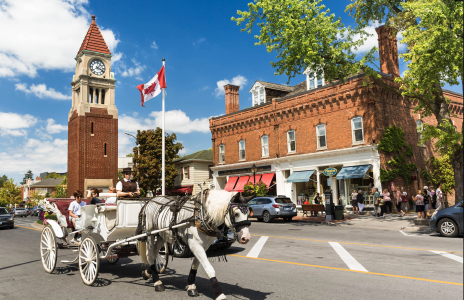 People taking a horse-drawn carriage ride