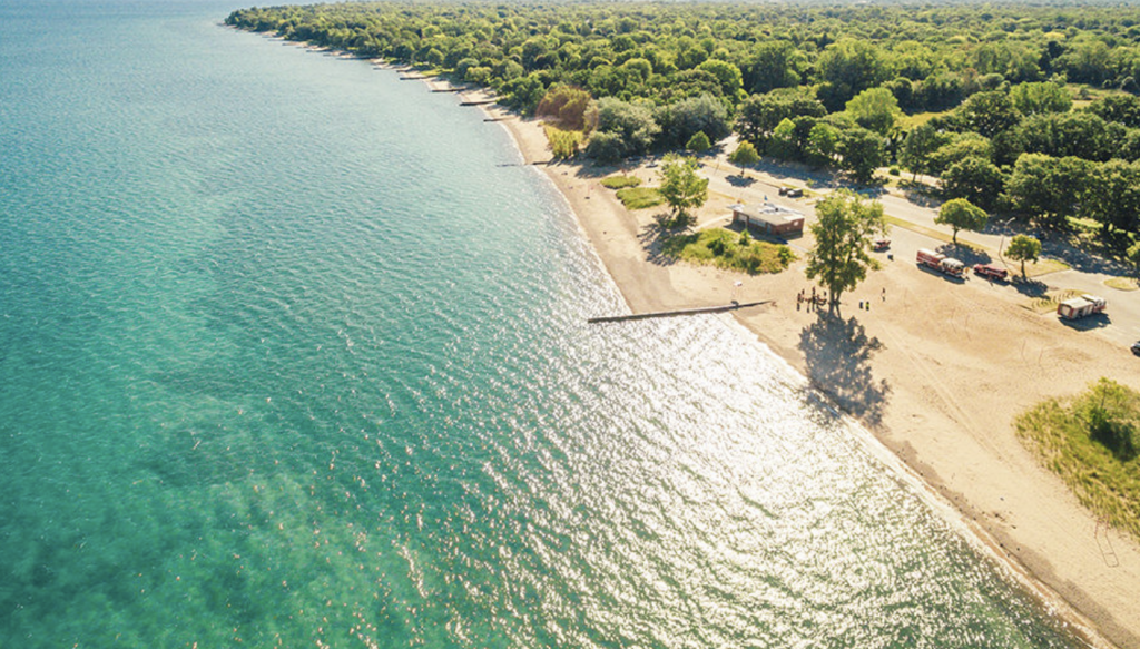 Aerial view of water and a beach