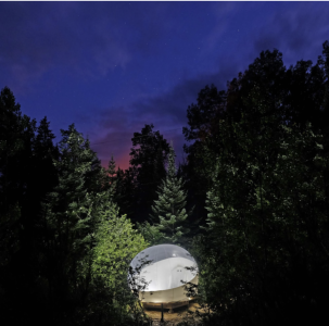 A transparent dome in the middle of a forest at night