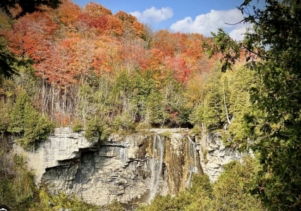 The Bruce Trail fall hikes
