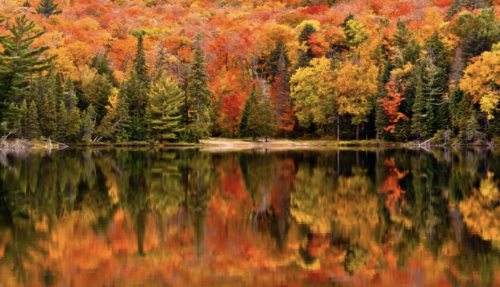Algonquin Provincial Park fall hike
