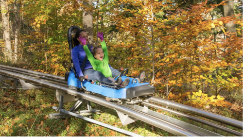 A women and a child riding a roller coaster through a forest