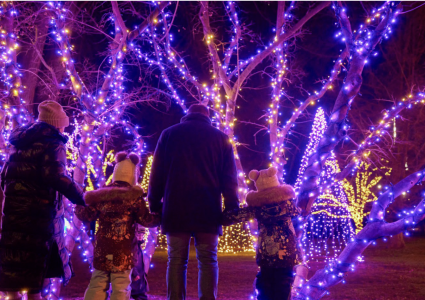 A family holding hands at night surrounded by trees lit up with lights for the holidays