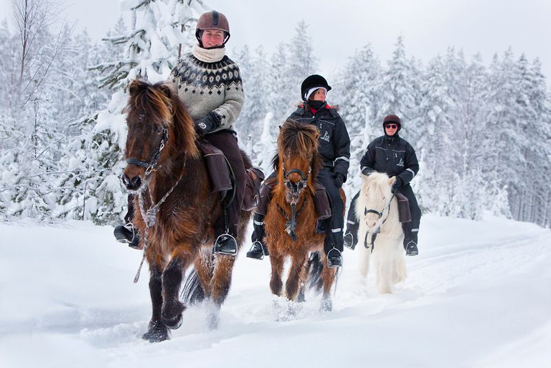 winter horseback riding in ontario 