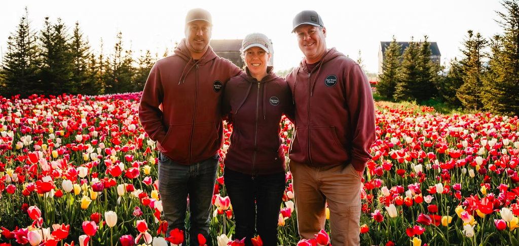 Three peopole standing in a field of beautiful tulips in ontario 