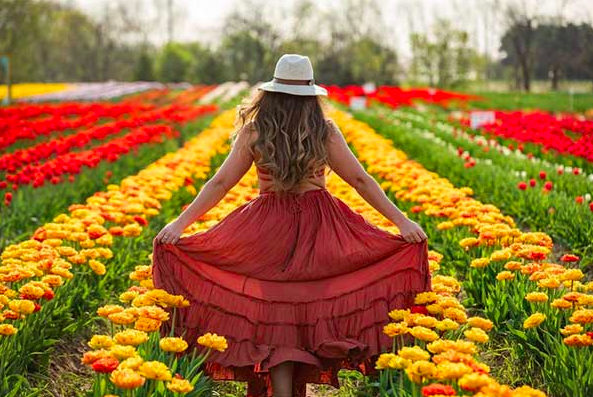 Women standing in a field of colourful tulips at Tasc Tulip Farm in Ontario