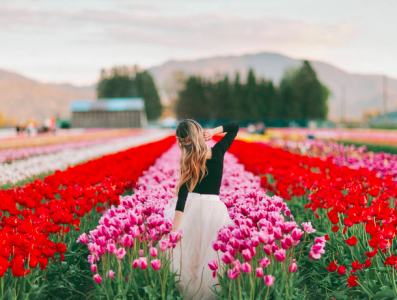 women walking through a field of tulips in ontario