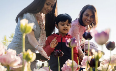A family celebrating Mother's day at a flower farm in ontario