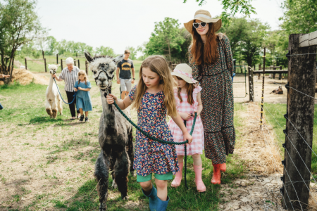 Children walking an alpaca at an animal farm in ontario