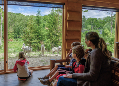 Famiy observing wolves from a chalet at Parc Omega
