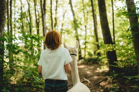 Things to do in ontario before summer ends