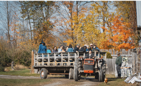 Apple picking and fall fun at Cannamore Orchard