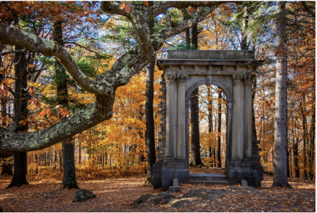 Gatineau Park in the Fall