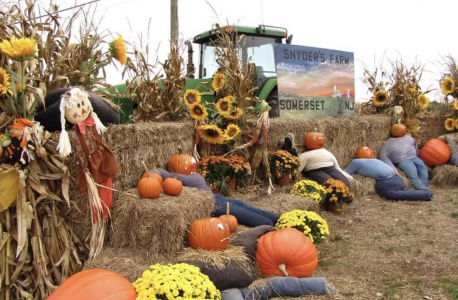 Synders Farm in Fall 
