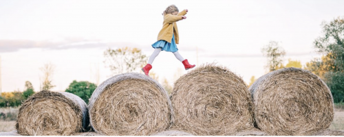 Bushels Fun on the Farm