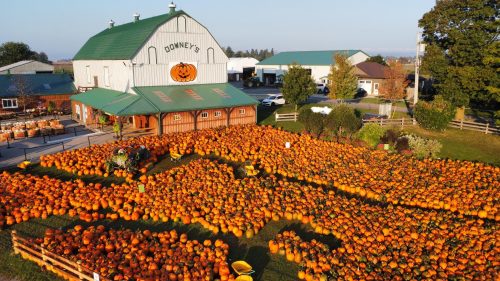 Downeys Farm Pumpkin Fest