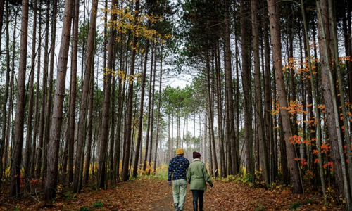 Ottawa Greenbelt Trails in Fall