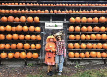 Saunders Farm Pumpkin patch