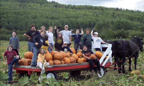 Gammondale Farm Pumpkin Patch