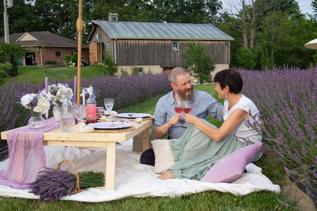 Purple Haven Lavender Farm