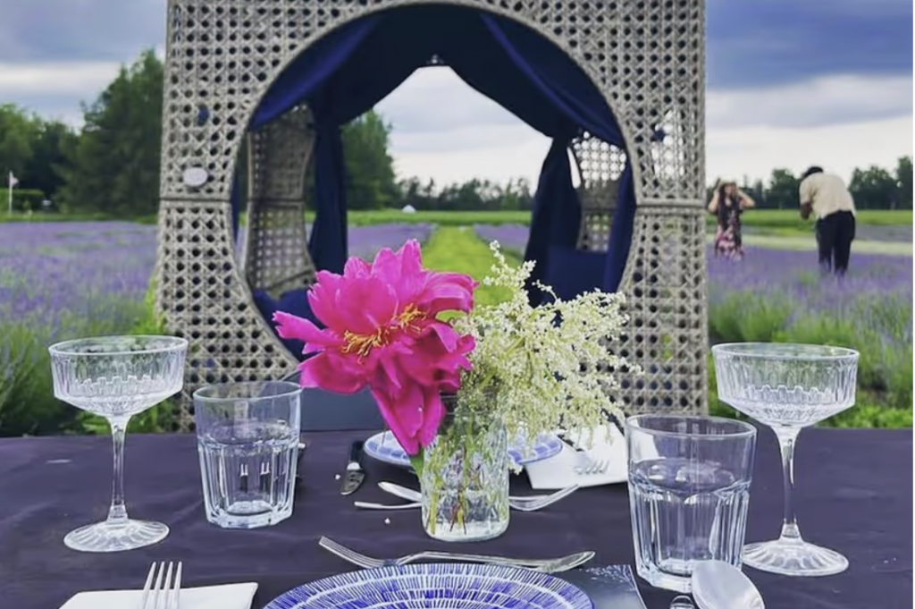 Avalon Lavender Farm