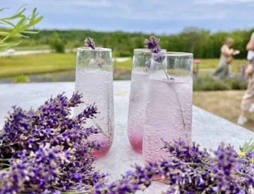 Woodland North Lavender Farm