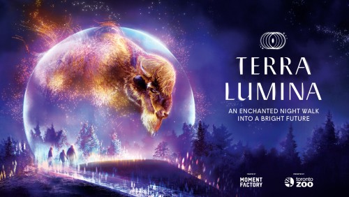 Terra Lumina at the Toronto Zoo