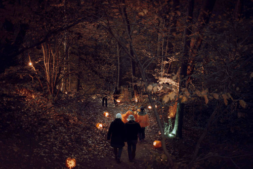 The Great Pumpkin Trail at Royal Botanical Gardens-event-photo