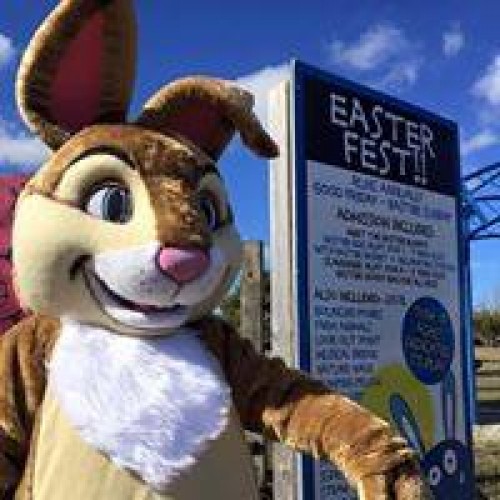 Easter Egg Hunt