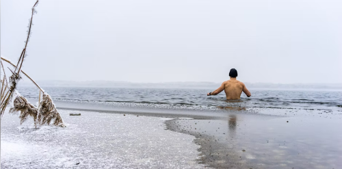 Toronto Singles 5K Social Run and Lake Plunge (27+)