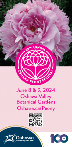 The 20th Annual Peony Festival