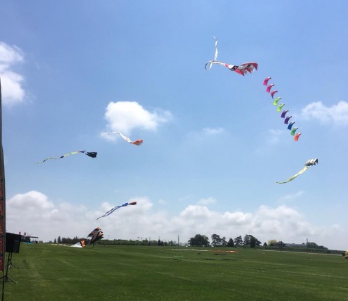 Strawberry Fields Kite Festival