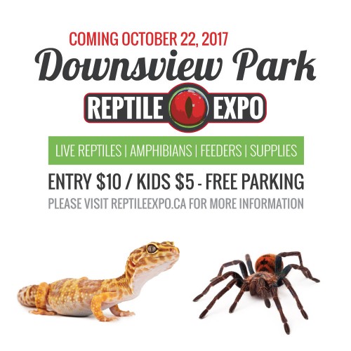 Downsview Park Reptile Expo