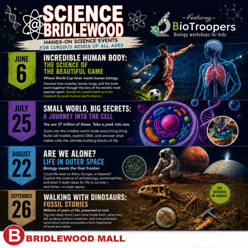 Science@Bridlewood-event-photo