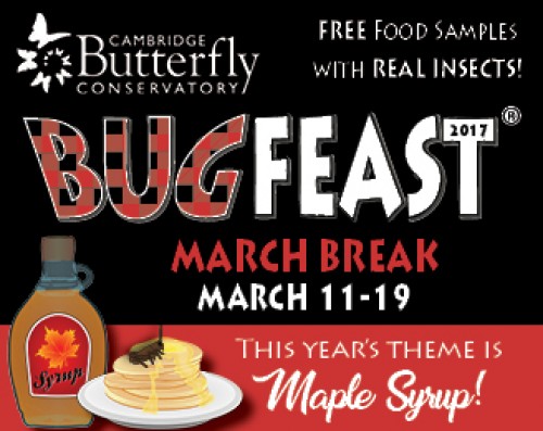 BugFeast!