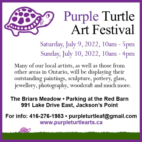 Purple Turtle Art Festival