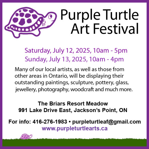 Purple Turtle Art Festival-event-photo