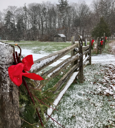 Ball's Falls Holiday Trail
