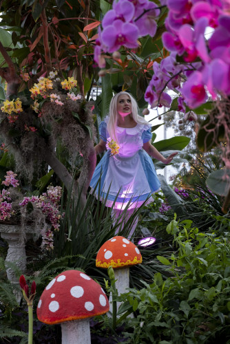 RBG After Dark: Alice in Bloomland (19+)