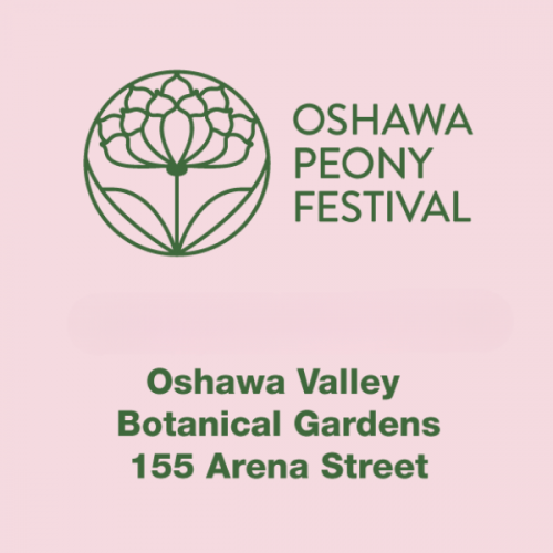 Peony Festival-event-photo