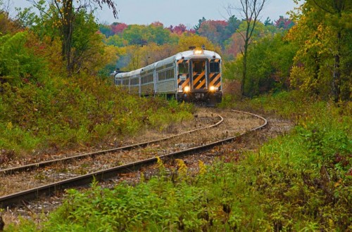 Fall Colours Train